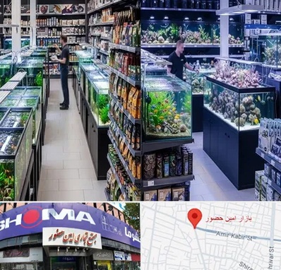 فروش لوازم اکواریوم در امین حضور 