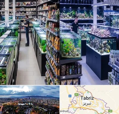 فروش لوازم اکواریوم در تبریز