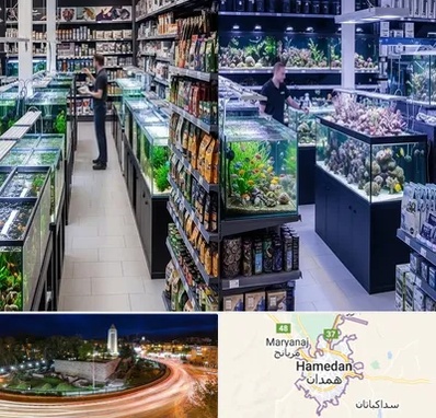 فروش لوازم اکواریوم در همدان