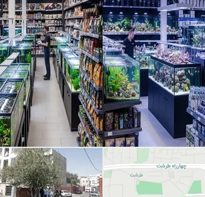 فروش لوازم اکواریوم در طرشت