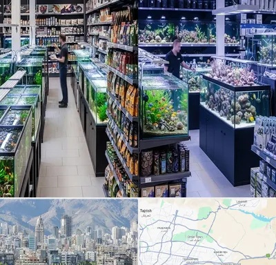 فروش لوازم اکواریوم در شمال شرق تهران