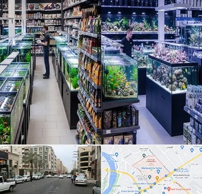 فروش لوازم اکواریوم در زیتون کارمندی اهواز