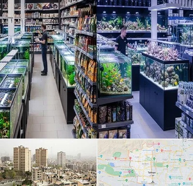 فروش لوازم اکواریوم در منطقه 5 تهران