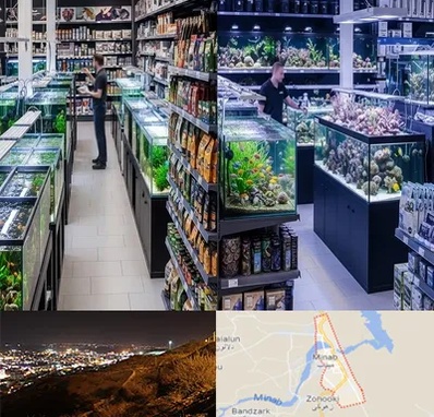 فروش لوازم اکواریوم در میناب