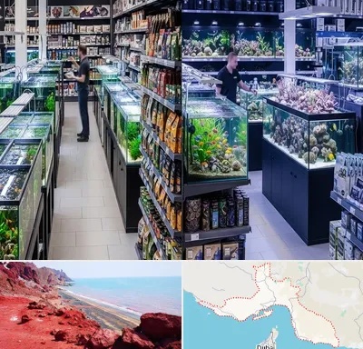 فروش لوازم اکواریوم در هرمزگان