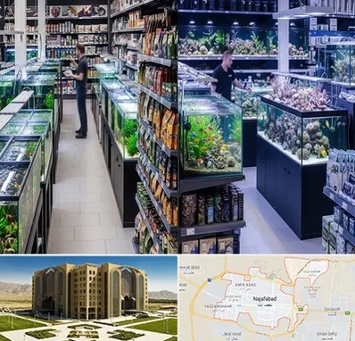 فروش لوازم اکواریوم در نجف آباد