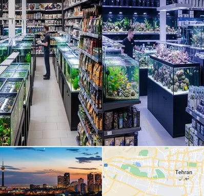 فروش لوازم اکواریوم در غرب تهران 