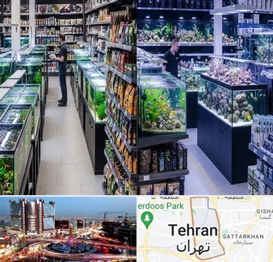 فروش لوازم اکواریوم در صادقیه