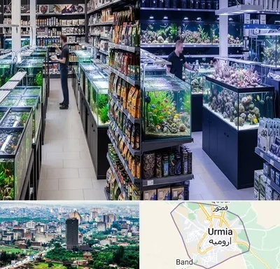 فروش لوازم اکواریوم در ارومیه