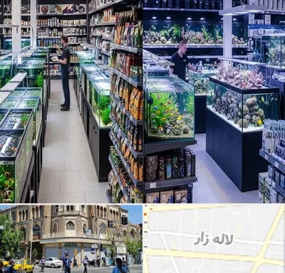 فروش لوازم اکواریوم در لاله زار