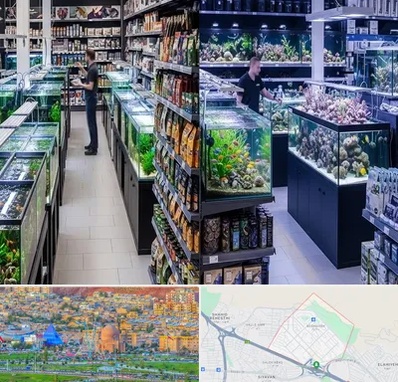 فروش لوازم اکواریوم در رشدیه تبریز