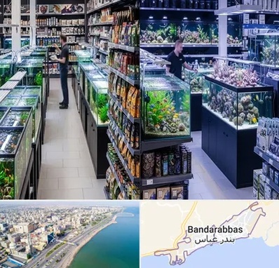 فروش لوازم اکواریوم در بندرعباس