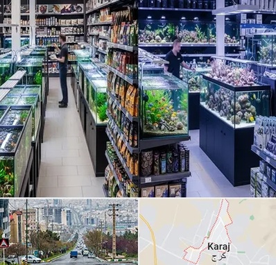فروش لوازم اکواریوم در گوهردشت کرج