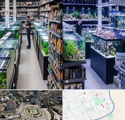 فروش لوازم اکواریوم در زرافشان اسلامشهر 