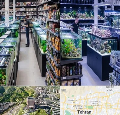 فروش لوازم اکواریوم در شمال تهران 