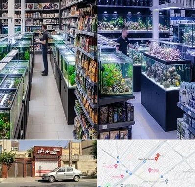 فروش لوازم اکواریوم در باجک قم