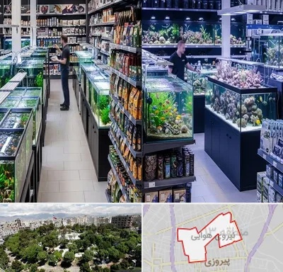 فروش لوازم اکواریوم در نیروی هوایی