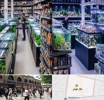 فروش لوازم اکواریوم در بازار تهران
