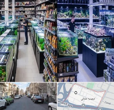 فروش لوازم اکواریوم در مجیدیه شمالی