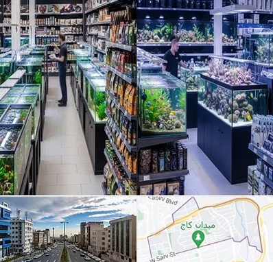 فروش لوازم اکواریوم در سعادت آباد