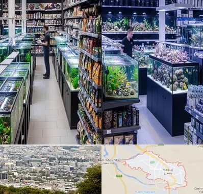 فروش لوازم اکواریوم در یاسوج