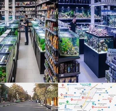 فروش لوازم اکواریوم در شریعتی