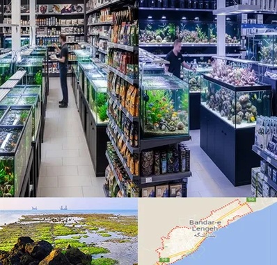 فروش لوازم اکواریوم در بندرلنگه