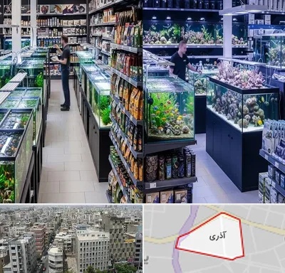 فروش لوازم اکواریوم در آذری