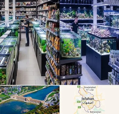 فروش لوازم اکواریوم در اصفهان