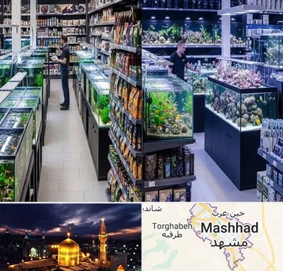 فروش لوازم اکواریوم در مشهد