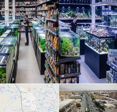 فروش لوازم اکواریوم در حصارک کرج