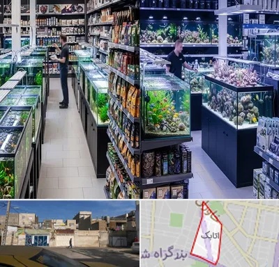 فروش لوازم اکواریوم در اتابک