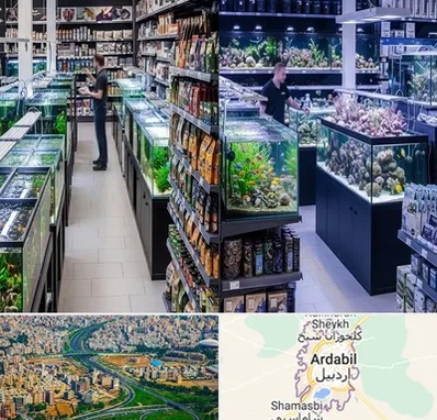 فروش لوازم اکواریوم در اردبیل