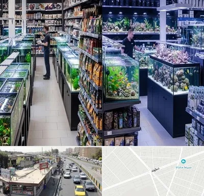 فروش لوازم اکواریوم در خیابان دماوند