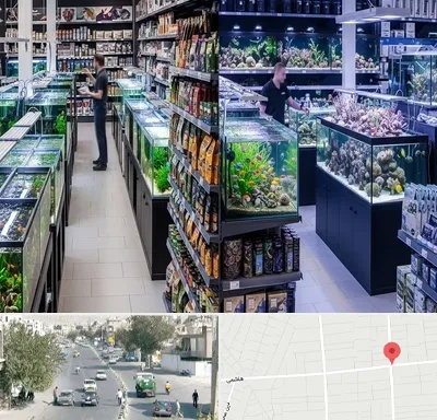فروش لوازم اکواریوم در هاشمی