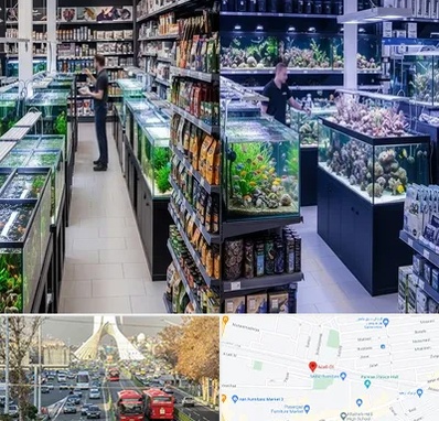 فروش لوازم اکواریوم در خیابان آزادی 