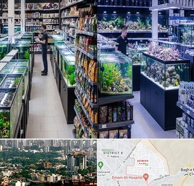 فروش لوازم اکواریوم در عظیمیه کرج 