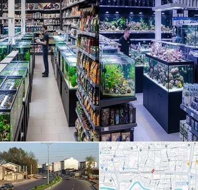 فروش لوازم اکواریوم در ضیابری رشت