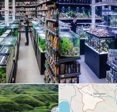 فروش لوازم اکواریوم در گچساران