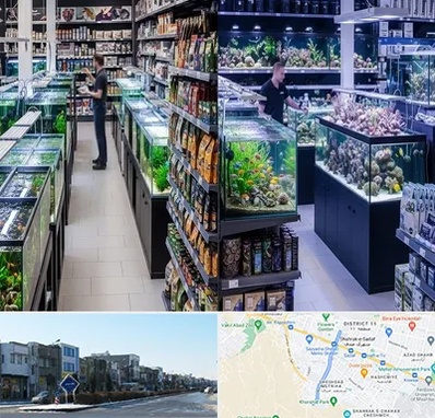فروش لوازم اکواریوم در شریعتی مشهد