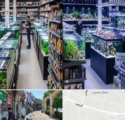 فروش لوازم اکواریوم در خیابان قزوین