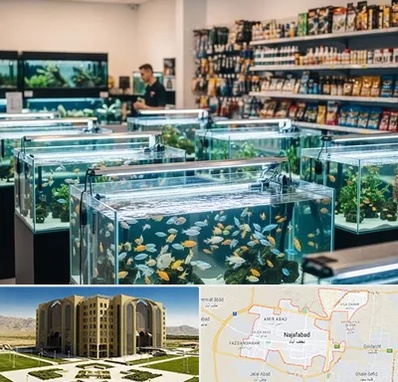 فروش ماهی آکواریوم در نجف آباد