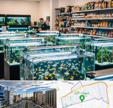 فروش ماهی آکواریوم در سعادت آباد