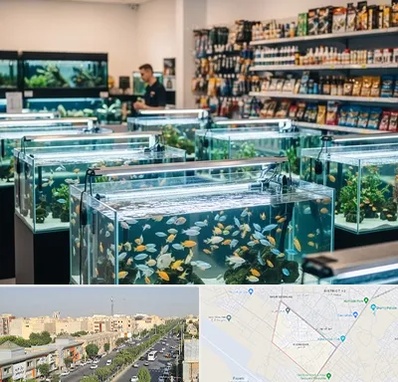 فروش ماهی آکواریوم در کیانمهر کرج 
