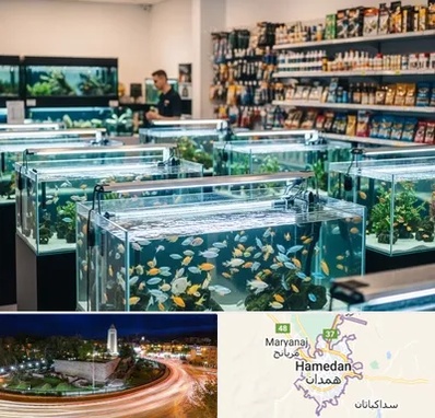 فروش ماهی آکواریوم در همدان