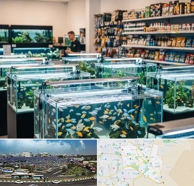 فروش ماهی آکواریوم در منطقه 15 تهران 