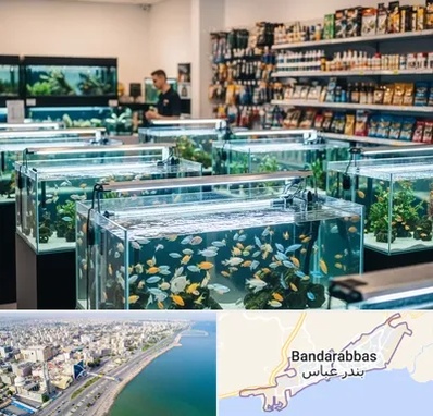 فروش ماهی آکواریوم در بندرعباس