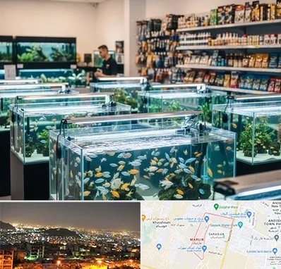 فروش ماهی آکواریوم در مارلیک کرج 