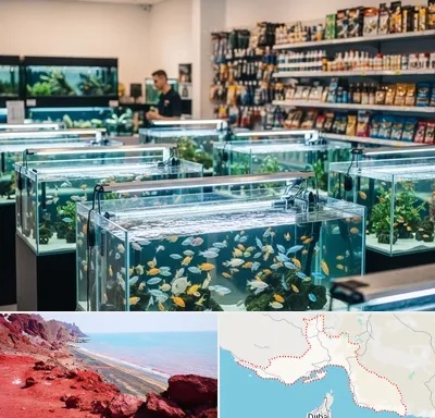 فروش ماهی آکواریوم در هرمزگان