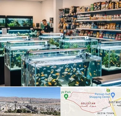 فروش ماهی آکواریوم در شهرک گلستان شیراز